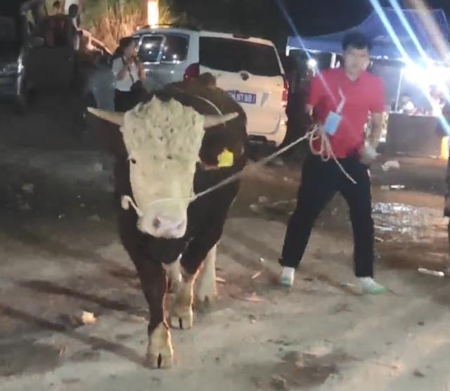 1661341778654015325.png 村BA —— 一条没人走过的篮球之路